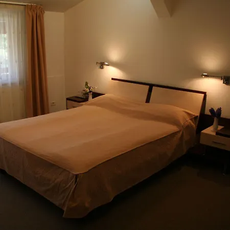 Hotell Baneasa Parc