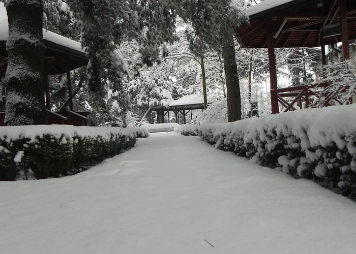 Baneasa Parc 부쿠레슈티