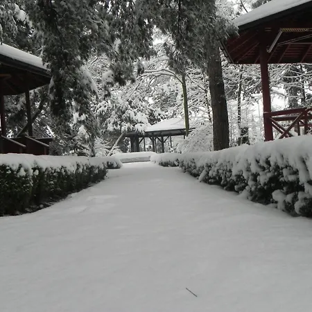 Baneasa Parc Bucharest