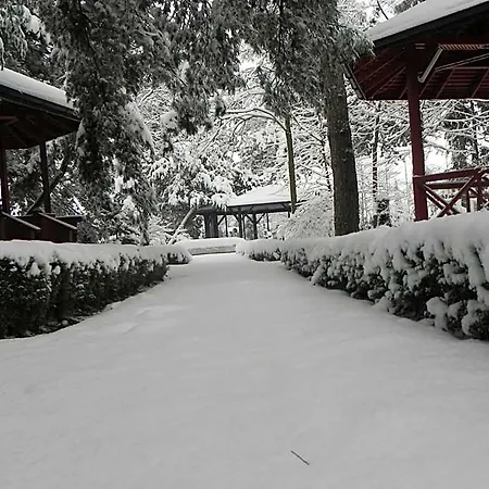 Baneasa Parc
