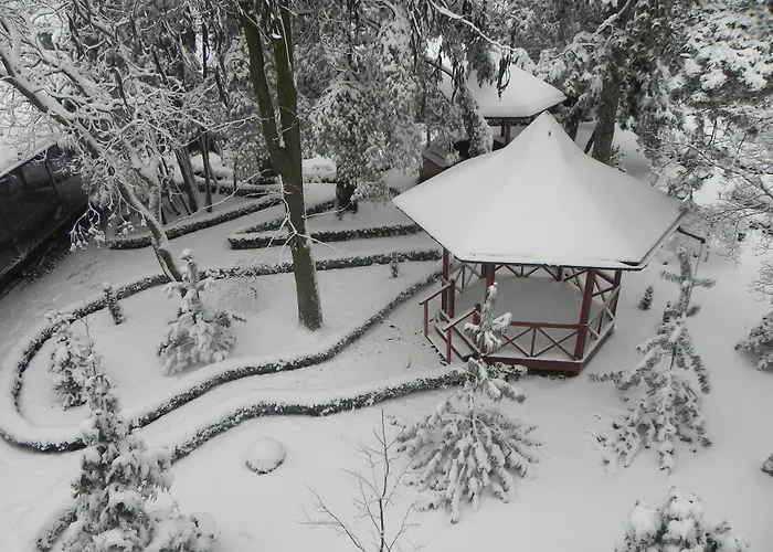 Hotel Baneasa Parc 3*